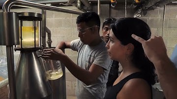 15 years of Livelihoods