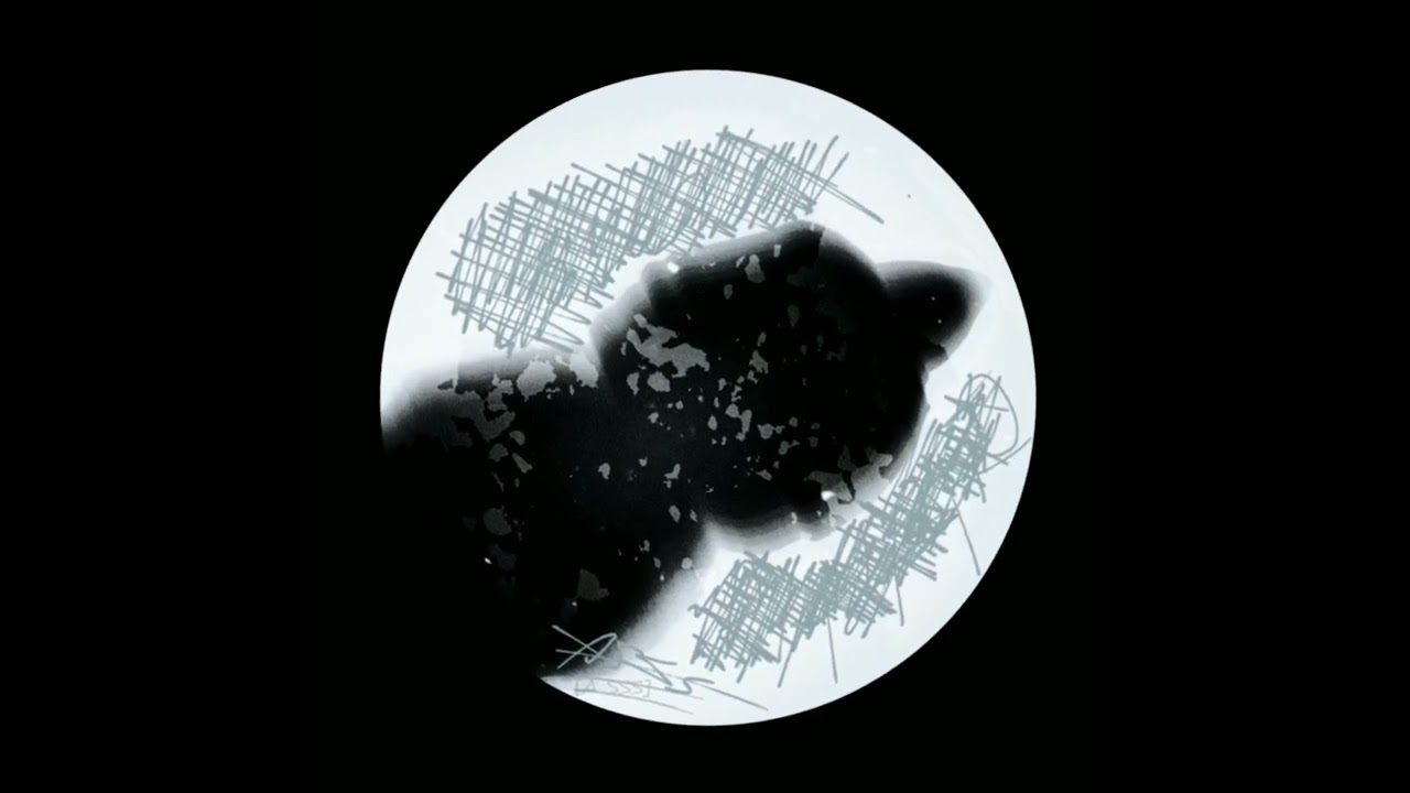 carrying something [A SSS]