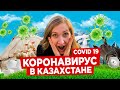 КОРОНАВИРУС в КАЗАХСТАНЕ - ЧТО ПРОИСХОДИТ!? Все подробности из Алматы