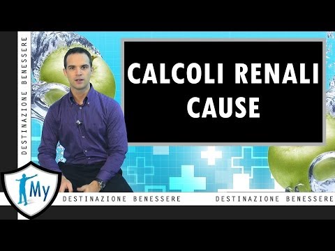 Video: Tratto Urinario/Calcoli Renali (cistina) Nei Gatti