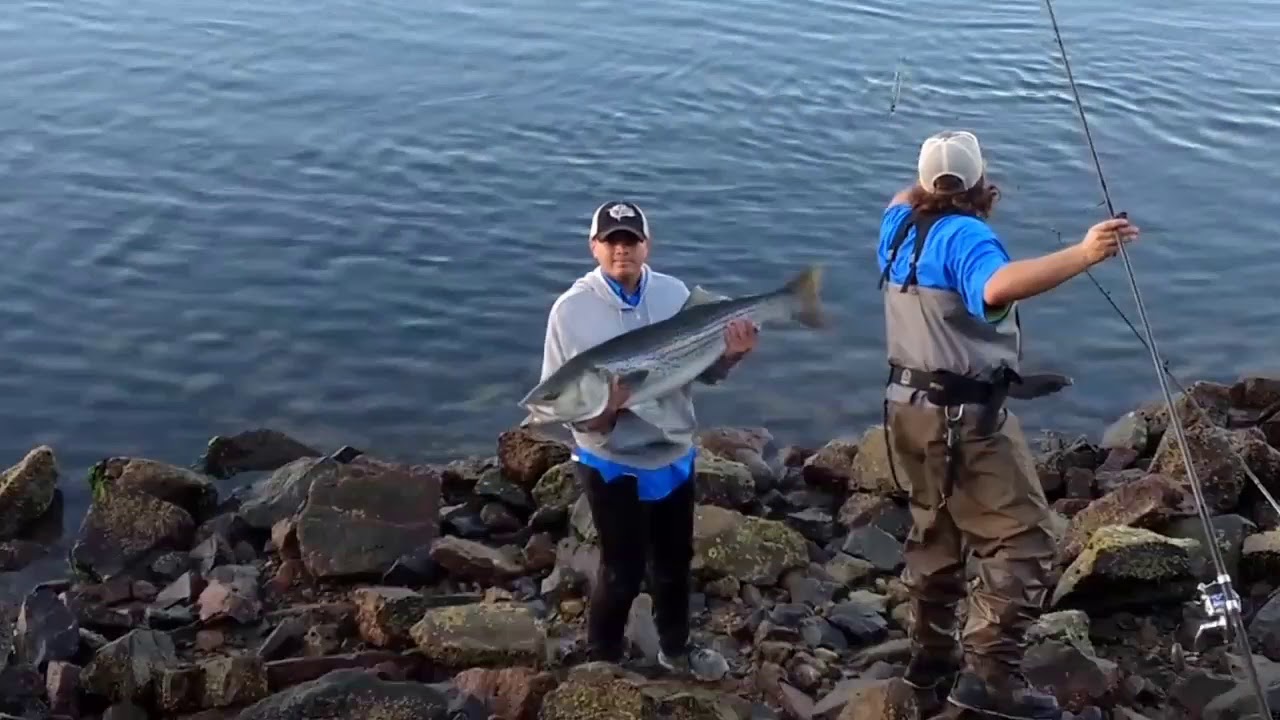 Best Cape Cod Canal Striper Fishing 2017 YouTube