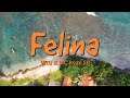 Felina (Letra) | WIU & MC Ryan SP