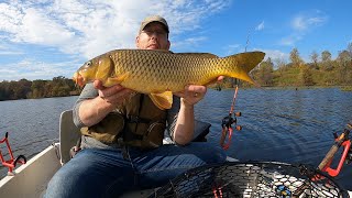 How to Catch Carp From a Boat - Fall Carp Fishing Tips and Tricks