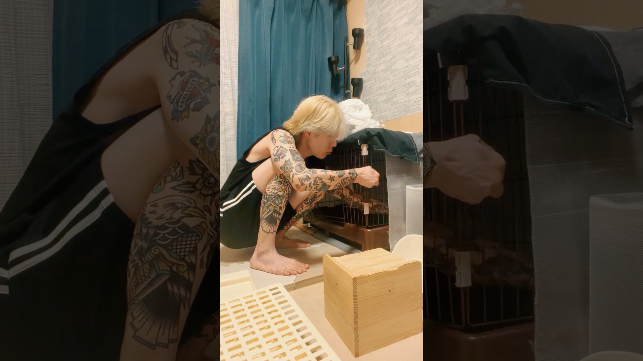 うさぎのお家お掃除ルーティン