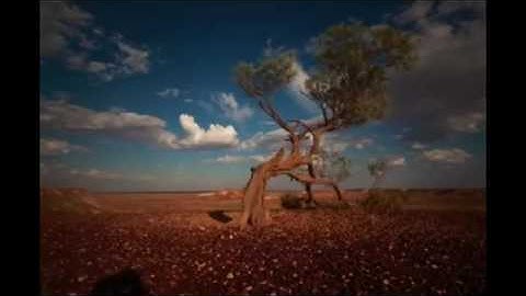 القارئ رعد الكردي  ماتيسر من سورة الاعراف