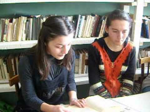 პროექტზე მუშაობის დროს