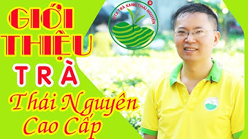Trà Thái Nguyên Cao Cấp | Chè Tân Cương Thái Nguyên