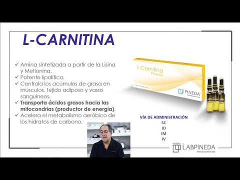 Copia de Emisin en directo de Laboratorios Pineda Mxico - YouTube