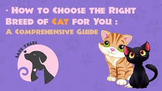 How to Choose the Right Breed of Cat for You