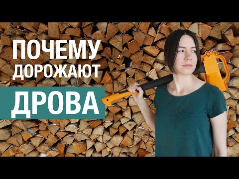 В чем причина подорожания дров в России, и как это исправить