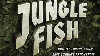 Costa Sunglasses + Indifly: Jungle Fish