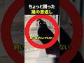 【猫からのプレゼントに困惑】ありがた迷惑の贈り物(笑)#感動#感動動画#感動する話#すっきり#スカッと#海外の反応#shorts