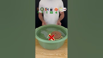 PROBEER TE RADEN HOEVEEL TISSUE-PAPIER ER NODIG WAS! #asmr #voldoening #experiment #tissue