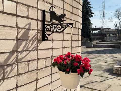 Кронштейн Кіт з метеликом,  кріплення для кашпо з квітами, настінний тримач горщиків, метал, чорний, видео 1
