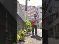 未来 / ズーカラデル #邦ロック #おすすめ #music #春
