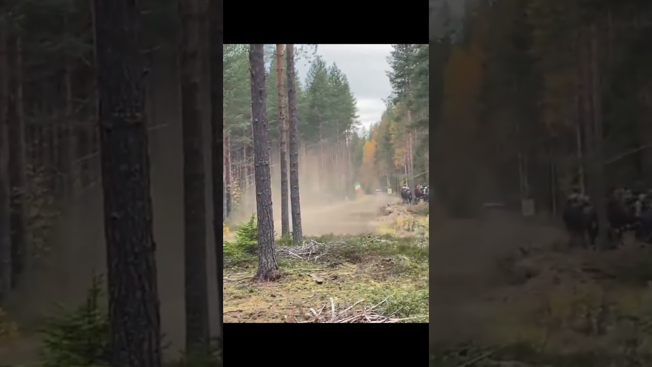 Rally fans being excited in Finland. Part 3 of 3