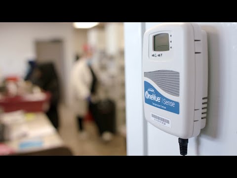 Temperature Monitoring Peace of Mind - Hayat Case Study - Primex OneVue