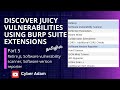 Discover Juicy Vulnerabilities Using BurpSuite Extensions - Retire.js, Software Vuln scan  - Part 5