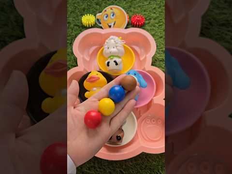 ياغنماتي ماء ماء شو بتاكلوا كور بالبرسيم