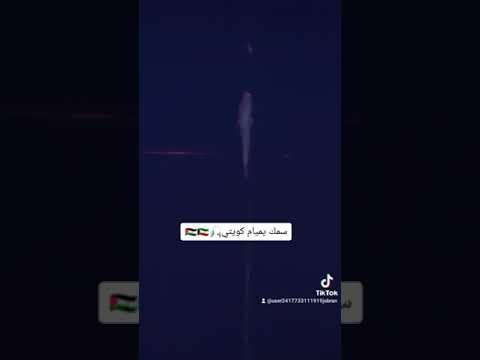 حوت يميام كويتي سمك يميام من صيد الصياد الكبير البطل الفلسطينيجبران أيوب الصايغ