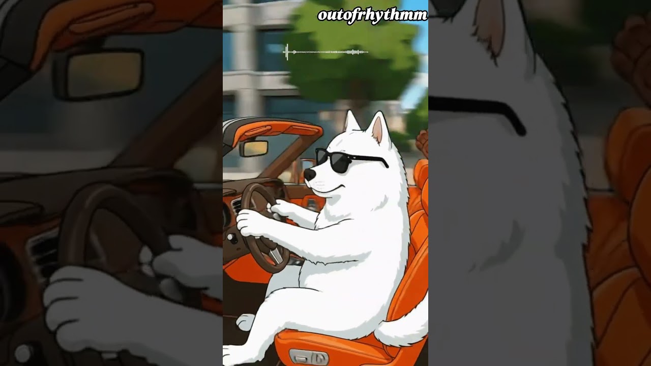 🎧Playlist |한낮 더위 완벽 탈출 🔥 롤스로이스 타고 출근하는 댕냥이들 🚘🐶🐱 #shorts  | GROOVE · JAZZHOP · CHILLHOP | 카페음악 · 노동요
