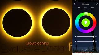 Smart Ceiling Light Quick Review