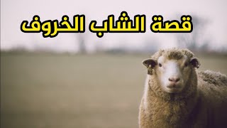 قصة الرجل الخروف الذي جعل المرأة لا تحترمك