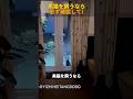 黒猫を飼うなら必ず確認して！