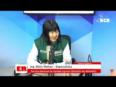 Programa Enlace Regional - Betty Mattos