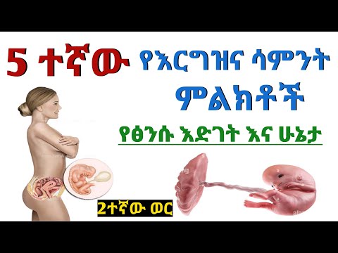 ቪዲዮ: የታጠቀ መብረቅ። የሁለተኛ ደረጃ መርከብ መርከበኛ “ኖቪክ”። የወጪ / ውጤታማነት መመዘኛ