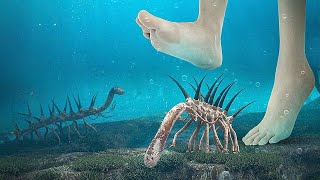 Why won't you survive the Cambrian period?