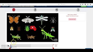 Basic Tutorial on How To Use EDpuzzle
