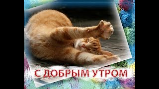 С Добрым утром! Мечтайте - с улыбкой... Живите - с душой... Любите - сердцем...