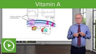 Vitamin A – Biochemistry | Lecturio