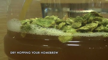 Homebrew How-To: Dry Hopping Your Beer