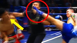 Referee vs Player | Crazy and Funniest Fights in Sports