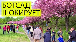 :  22.04.24 |    