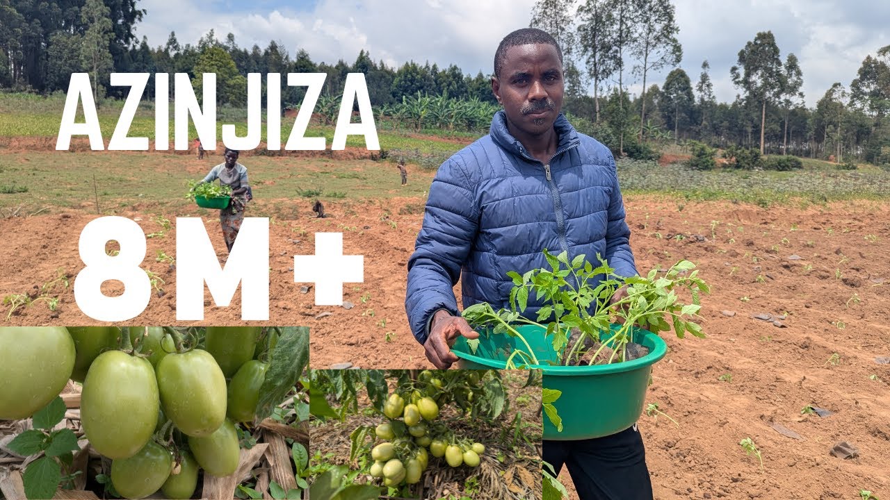 TWATEYE INYANYA 2300… ZIZADUHA MILIYONI 8+ 💰