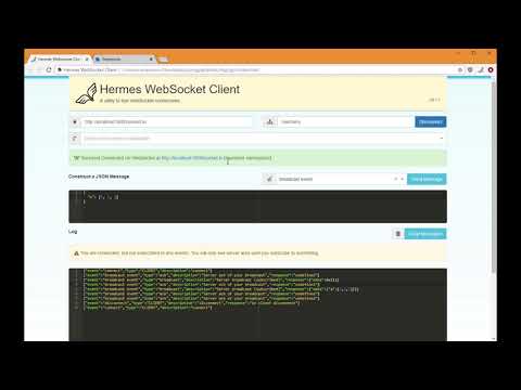 Hermes WebSocket Client