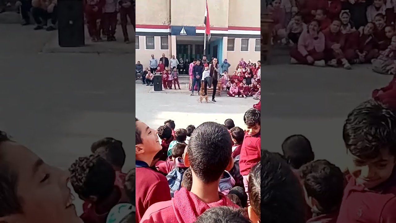 شريف فؤاد وي الساحر محمد جمال