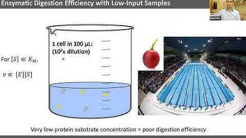 Going deeper with label-free single-cell proteomics | Ryan Kelly | SCP2020