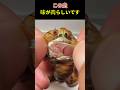 この虫 味が肉らしいです