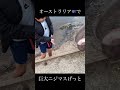 オーストラリアで巨大なニジマスを捕獲！ #釣り