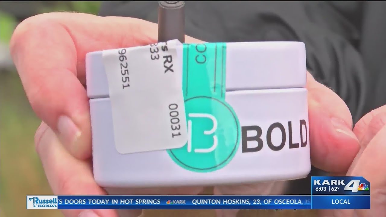 Medical Marijuana Sold in Arkansas