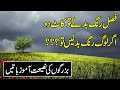 Nice Collection Of Urdu Quotes | Friend Ship Quotes In Urdu | Aqwal E Zareen | Hindi Quotes