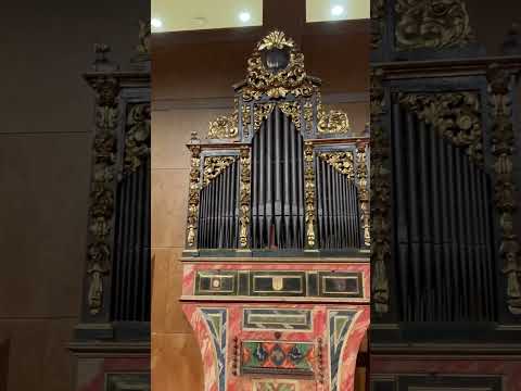 Video: Muzej muzičkih instrumenata u Phoenixu: Potpuni vodič
