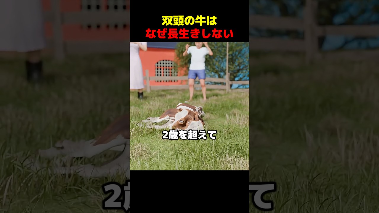 双頭の牛はなぜ長生きしない