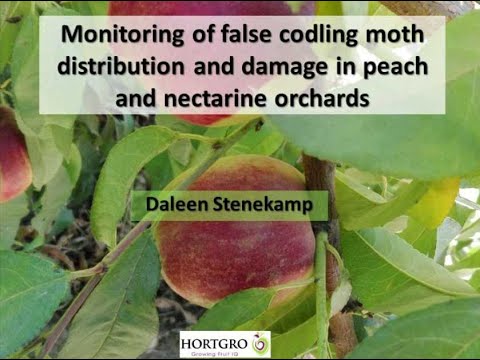 3 Monitoring false