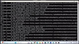 Celebrity Spring Boot JMS Net Worth