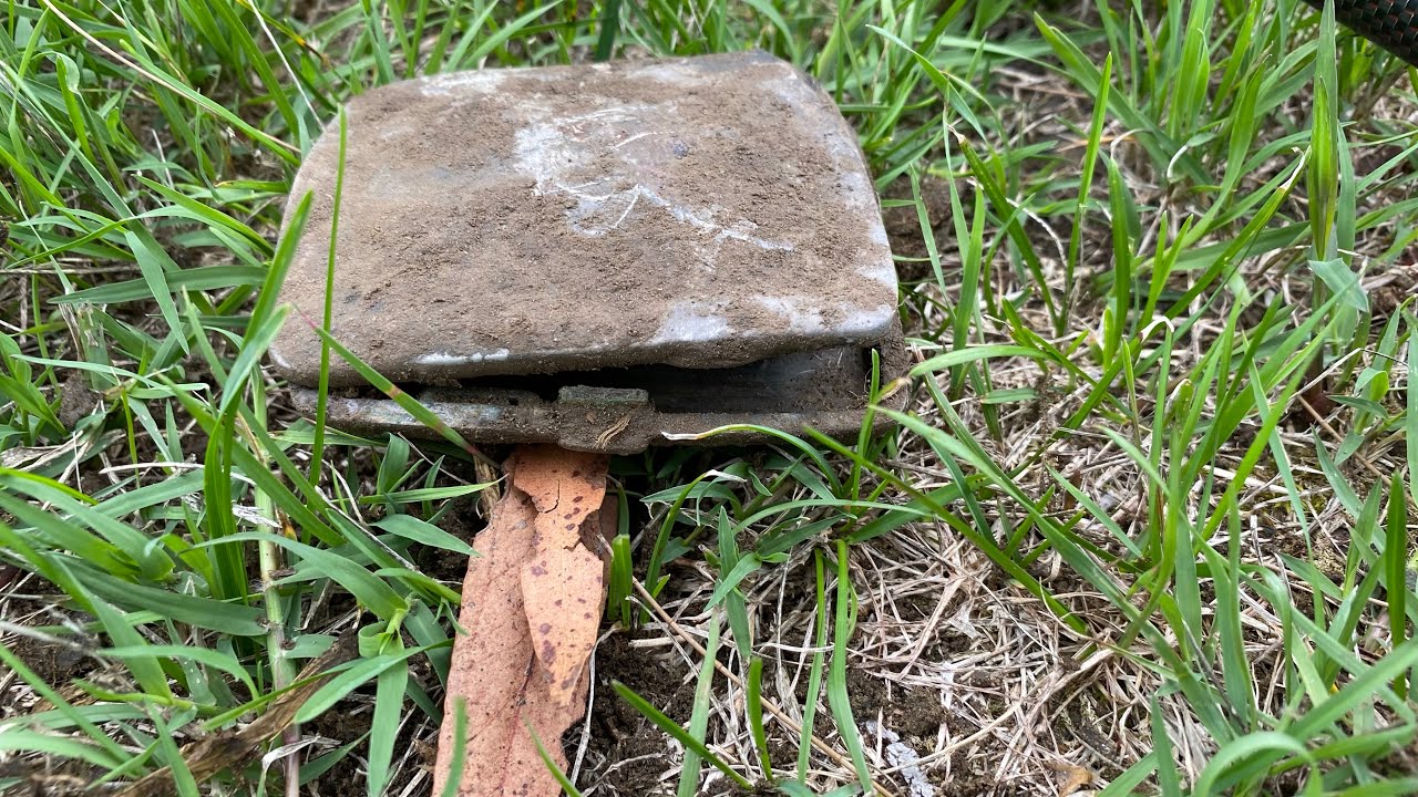 Metal Detecting Nz: We hit an old Dump Site and find Treasure